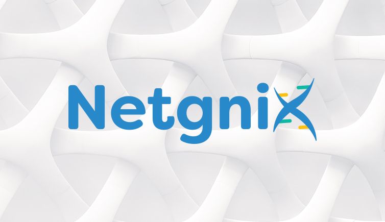 Netgnix Logo & Brand Standards Guide